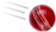 Online Cricket ID